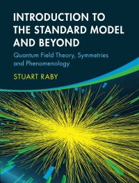 Introduction to the Standard Model and Beyond Ebook